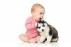 Koira ja vauva: keskinäisen sopeutumisen säännöt