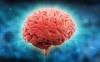 Aivot: 7 tapoja parantaa sen suorituskykyä