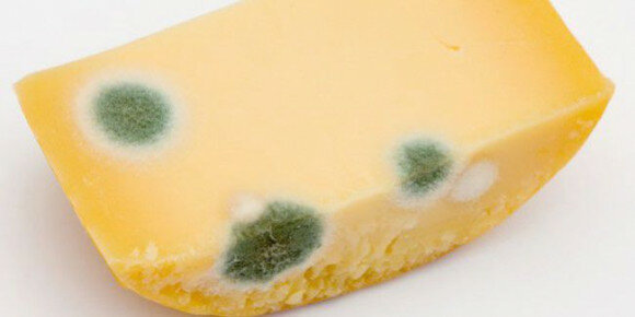 pilaantunut juustoa