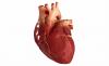 3 päätekijää, jotka aiheuttavat sydänsairauksia