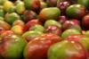 Kuinka kasvattaa mangoa kotona: vaiheittaiset ohjeet