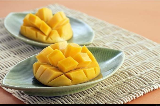 Kuinka kasvattaa mangoa kotona: vaiheittaiset ohjeet