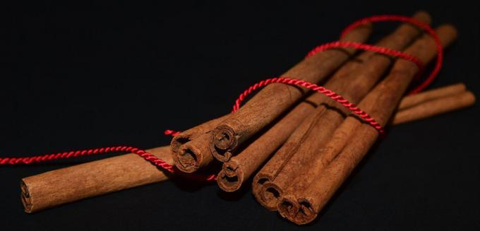 Cinnamon - kaneli