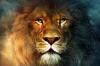12 ominaisuudet Lions, jonka tulet rakastamaan heitä