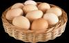 10 ominaisuuksien munia. Myytti niiden haitallisuus