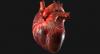 10 tuotetta, joilla on myönteinen vaikutus sydämeen