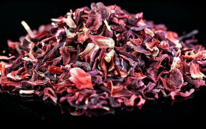 Tea hibiscus - Hibiscus teetä